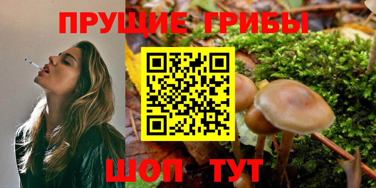 Галлюциногенные грибы Cubensis Усть-Илимск
