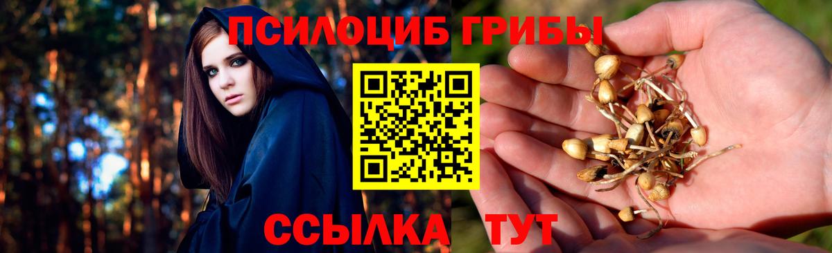 Псилоцибиновые грибы ЛСД  Вход с VPN  Усть-Илимск  Псилоцибиновые грибы Psilocybe 